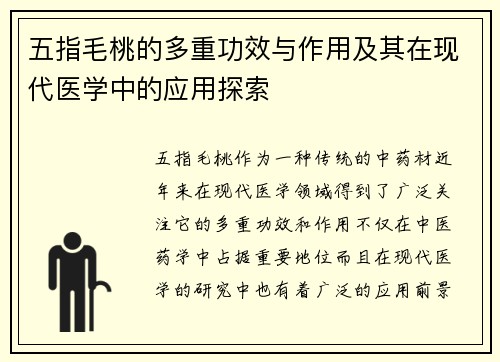 五指毛桃的多重功效与作用及其在现代医学中的应用探索